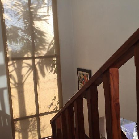 Casa Alice Marbella Lodge Zewnętrze zdjęcie