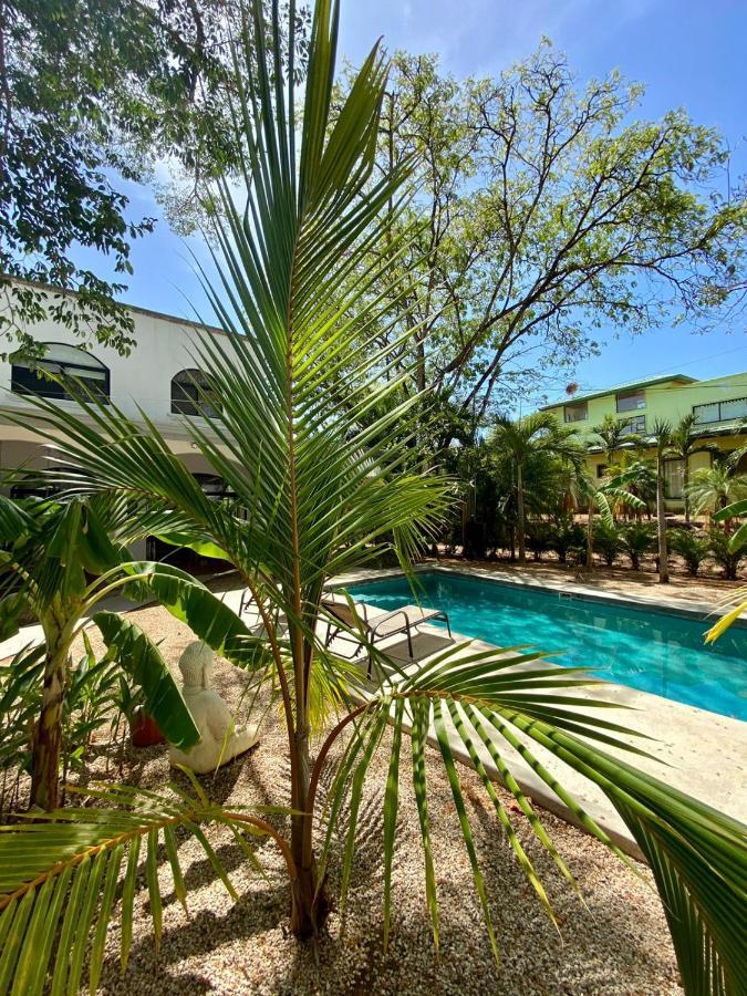 Casa Alice Marbella Lodge Zewnętrze zdjęcie